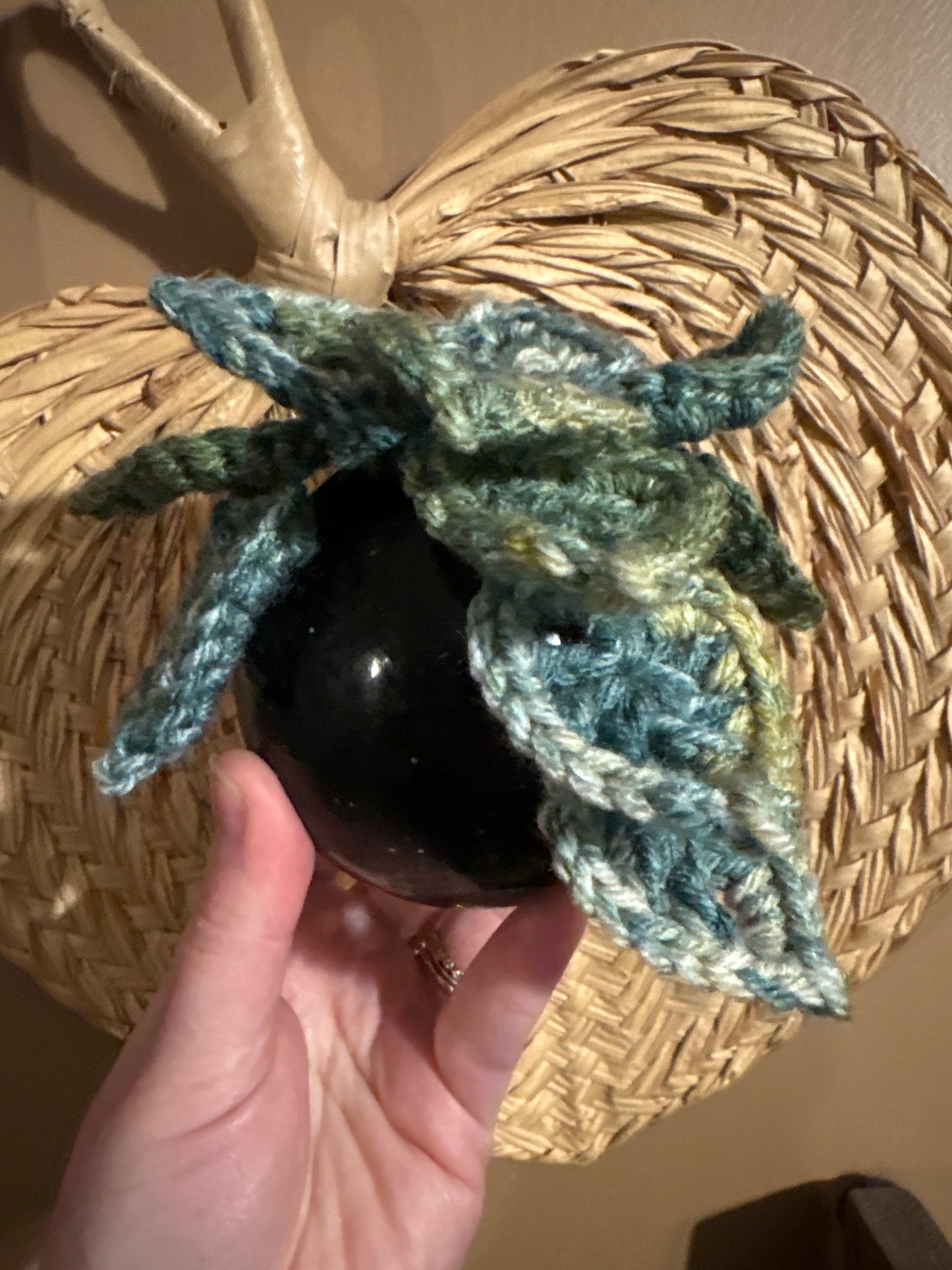 Croquet Ball Plant 005