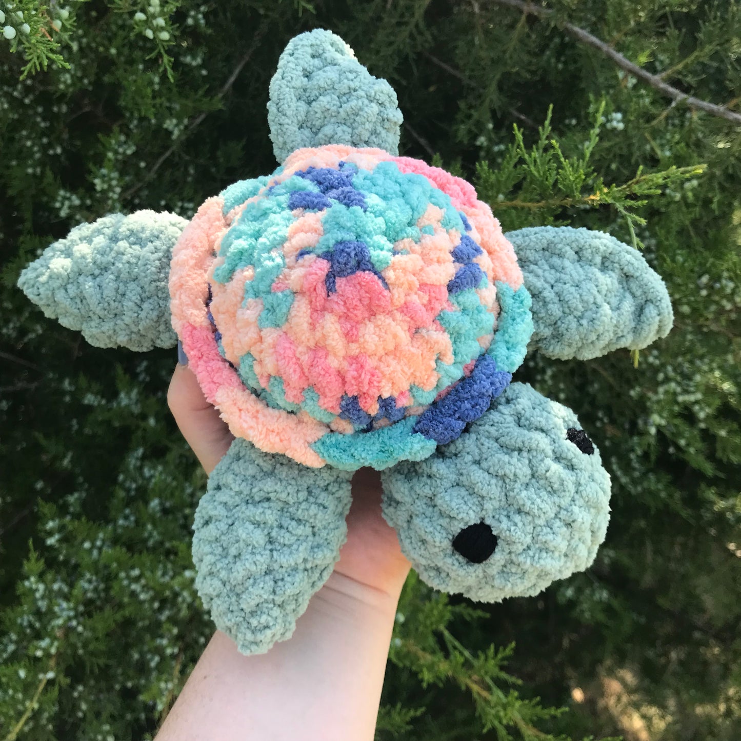 Sherbert Sea Turtle