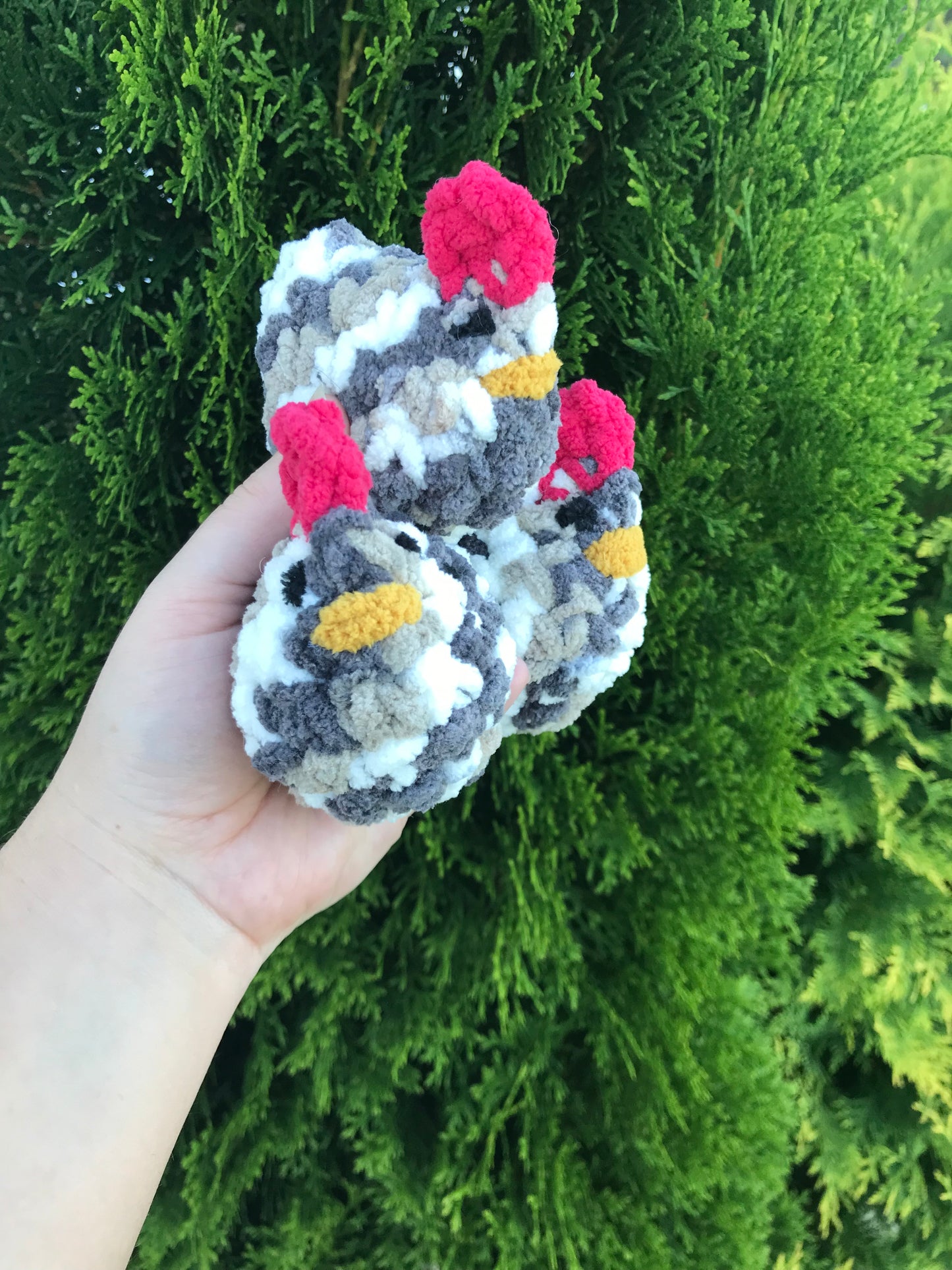 Chick