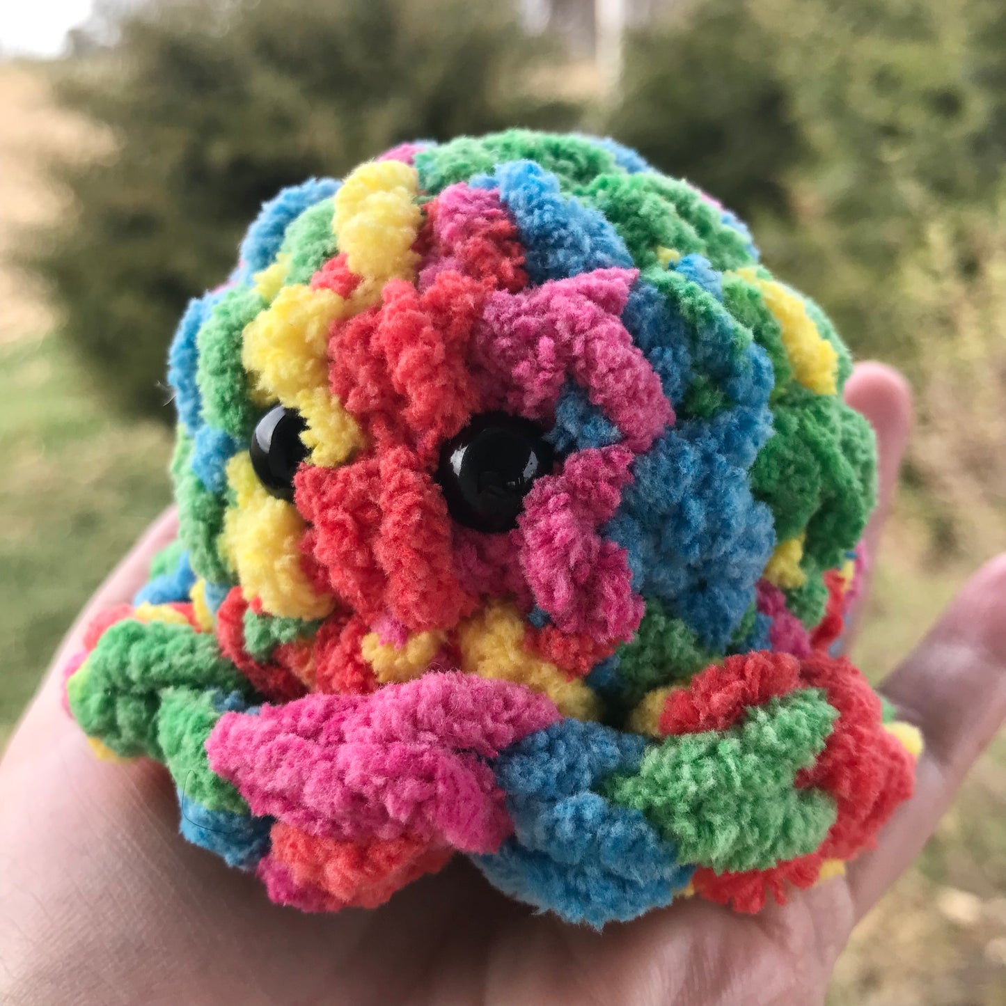 Rainbow Octopus