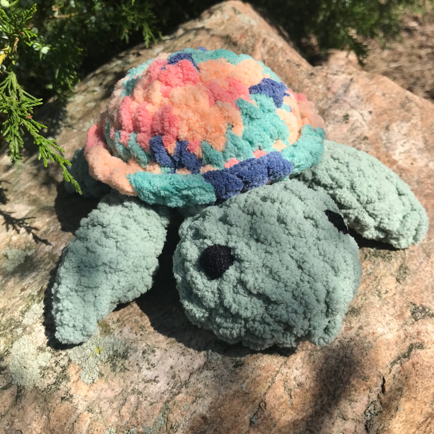 Sherbert Sea Turtle