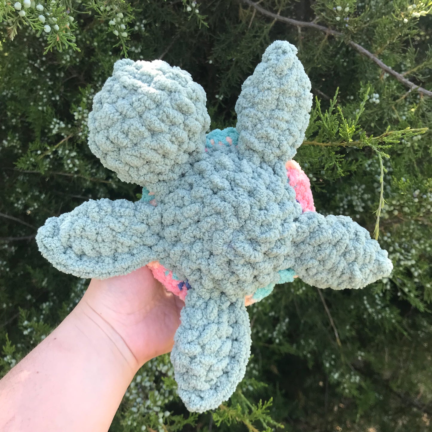 Sherbert Sea Turtle