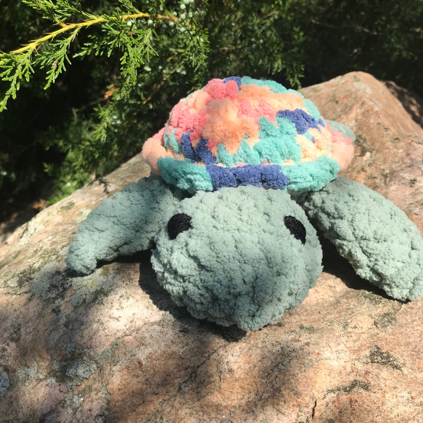 Sherbert Sea Turtle