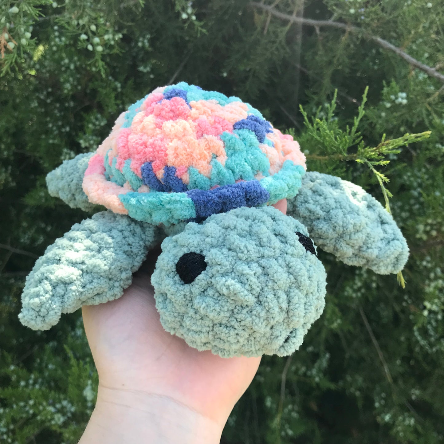 Sherbert Sea Turtle