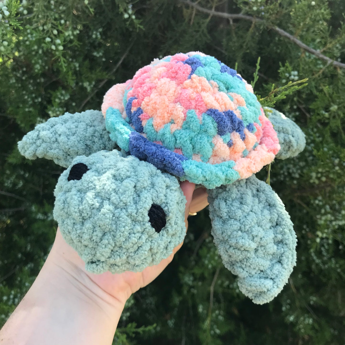 Sherbert Sea Turtle