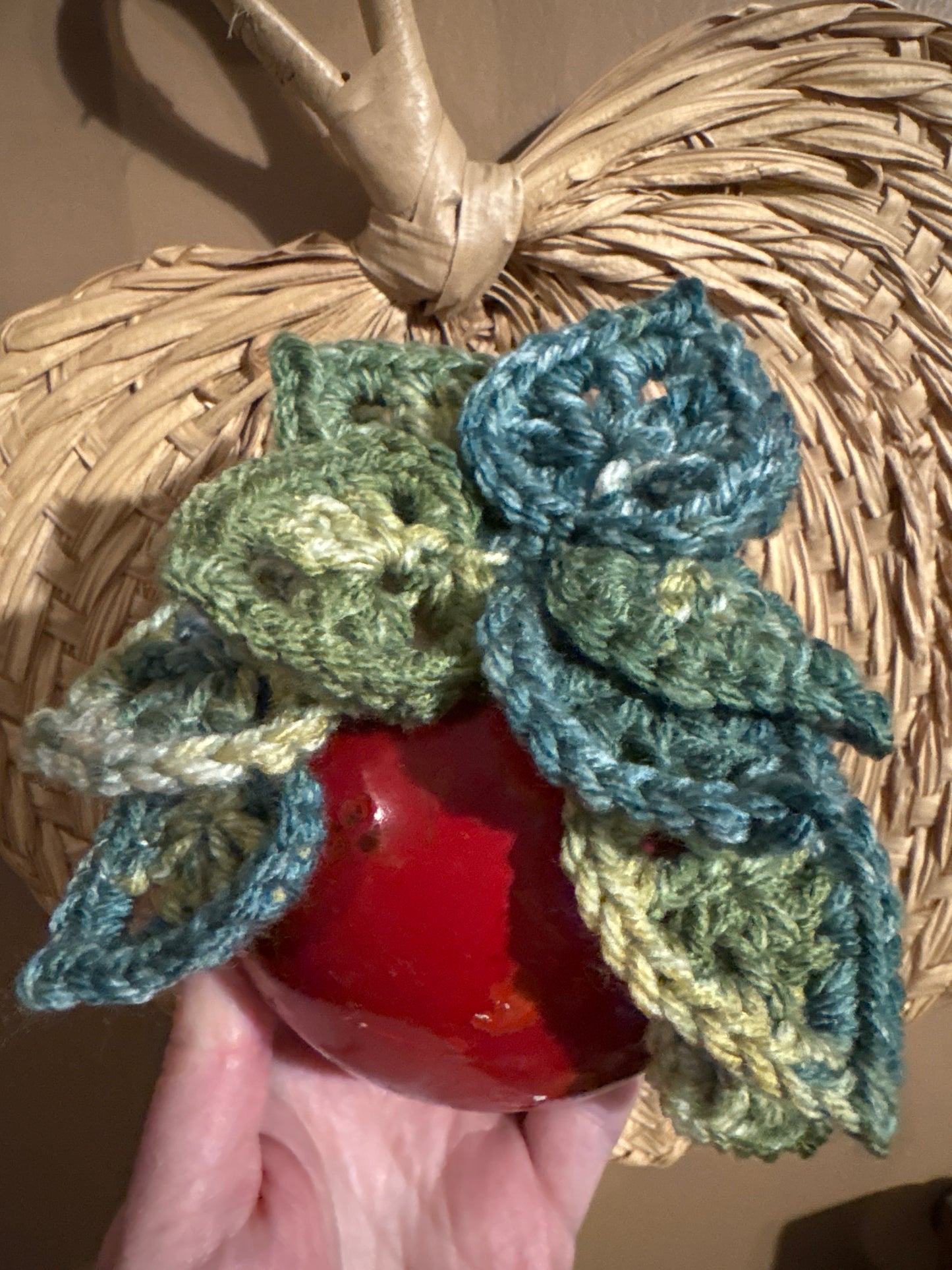 Jumbo Croquet Ball Plant 001