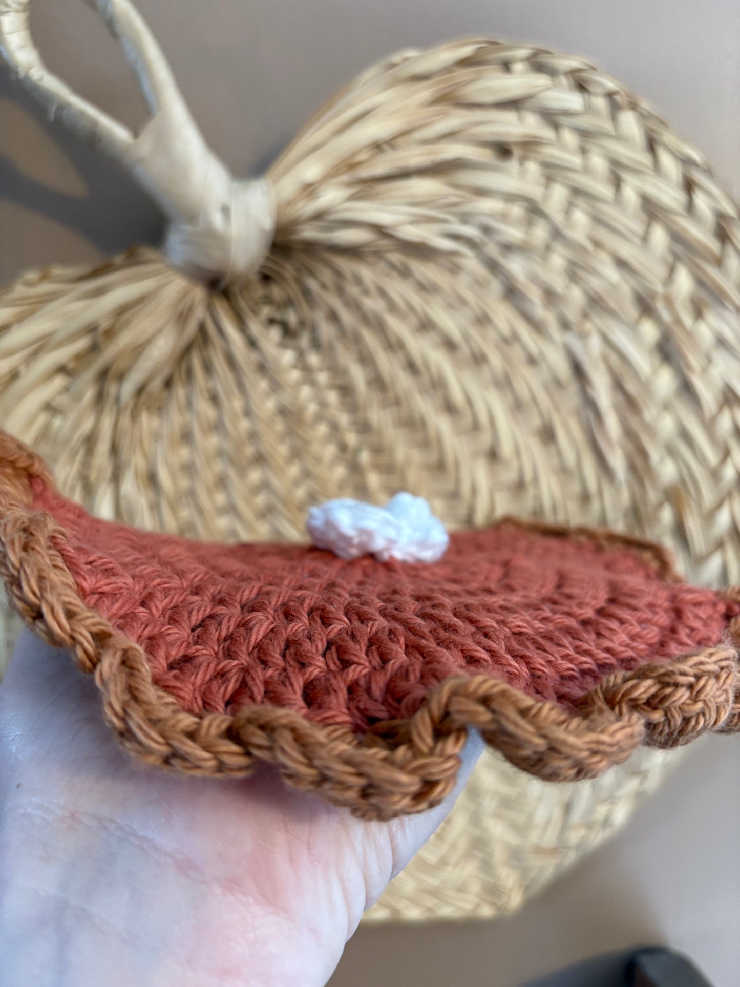 Pumpkin Pie "Potholder"