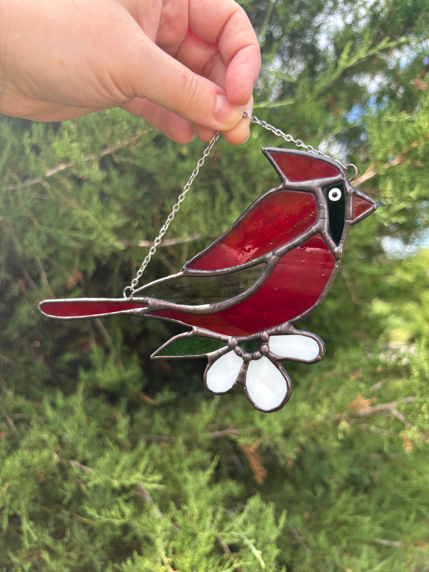 Cardinal