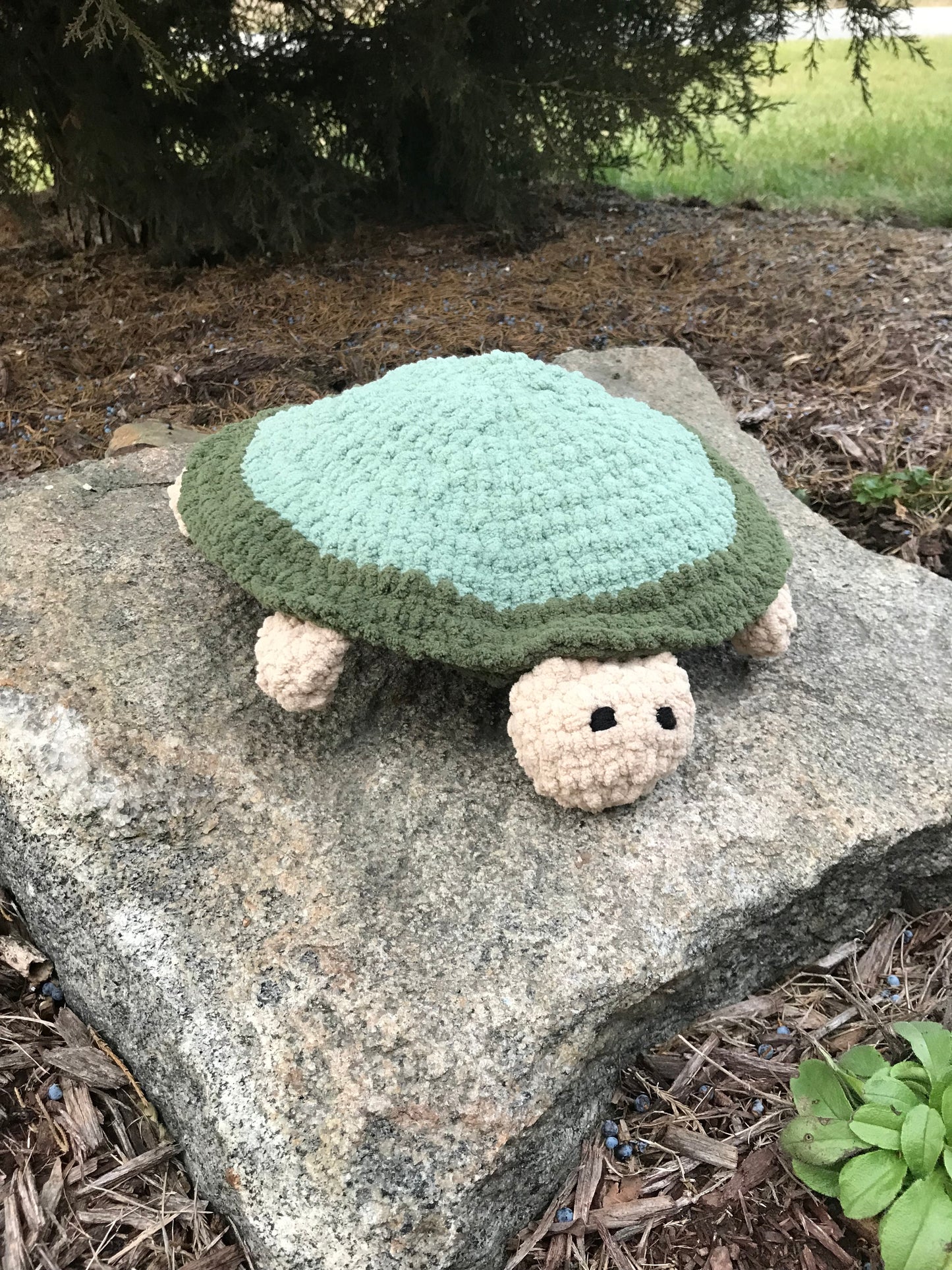 Turtle Matching Game