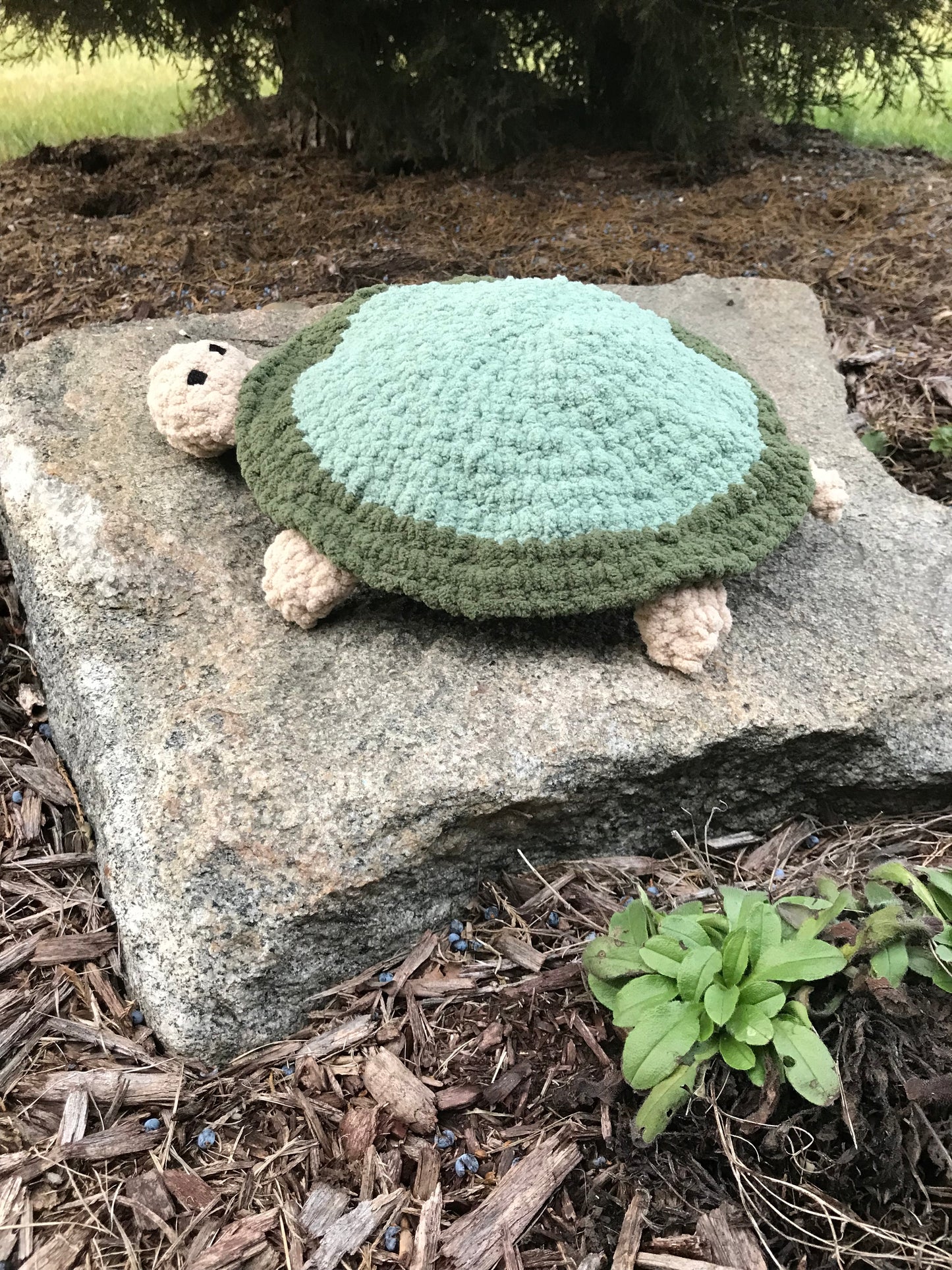 Turtle Matching Game
