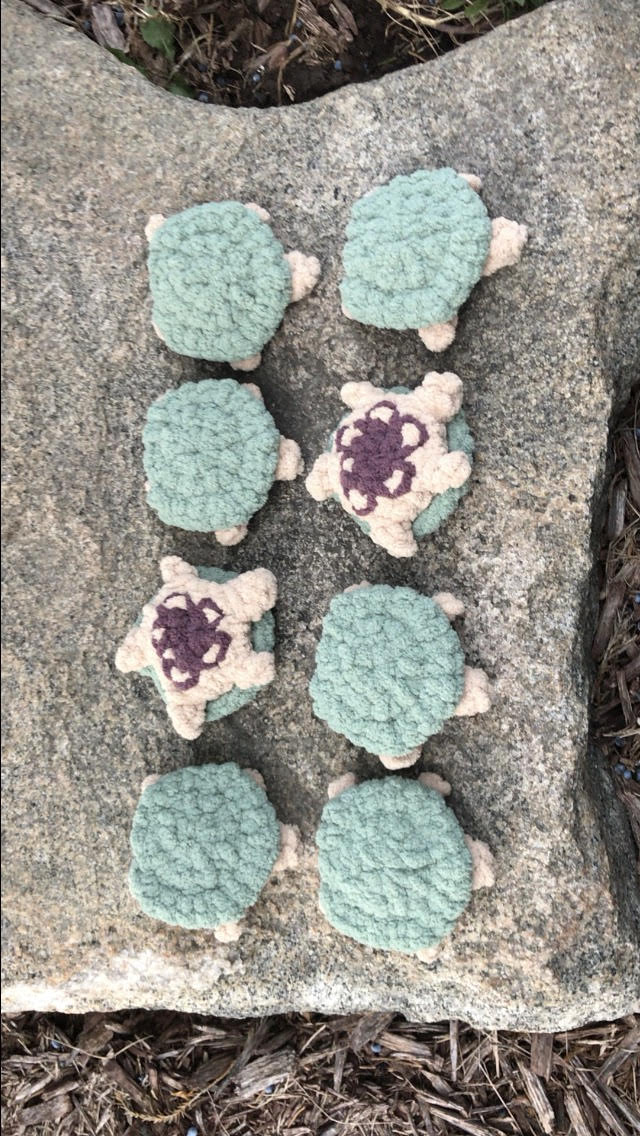 Turtle Matching Game