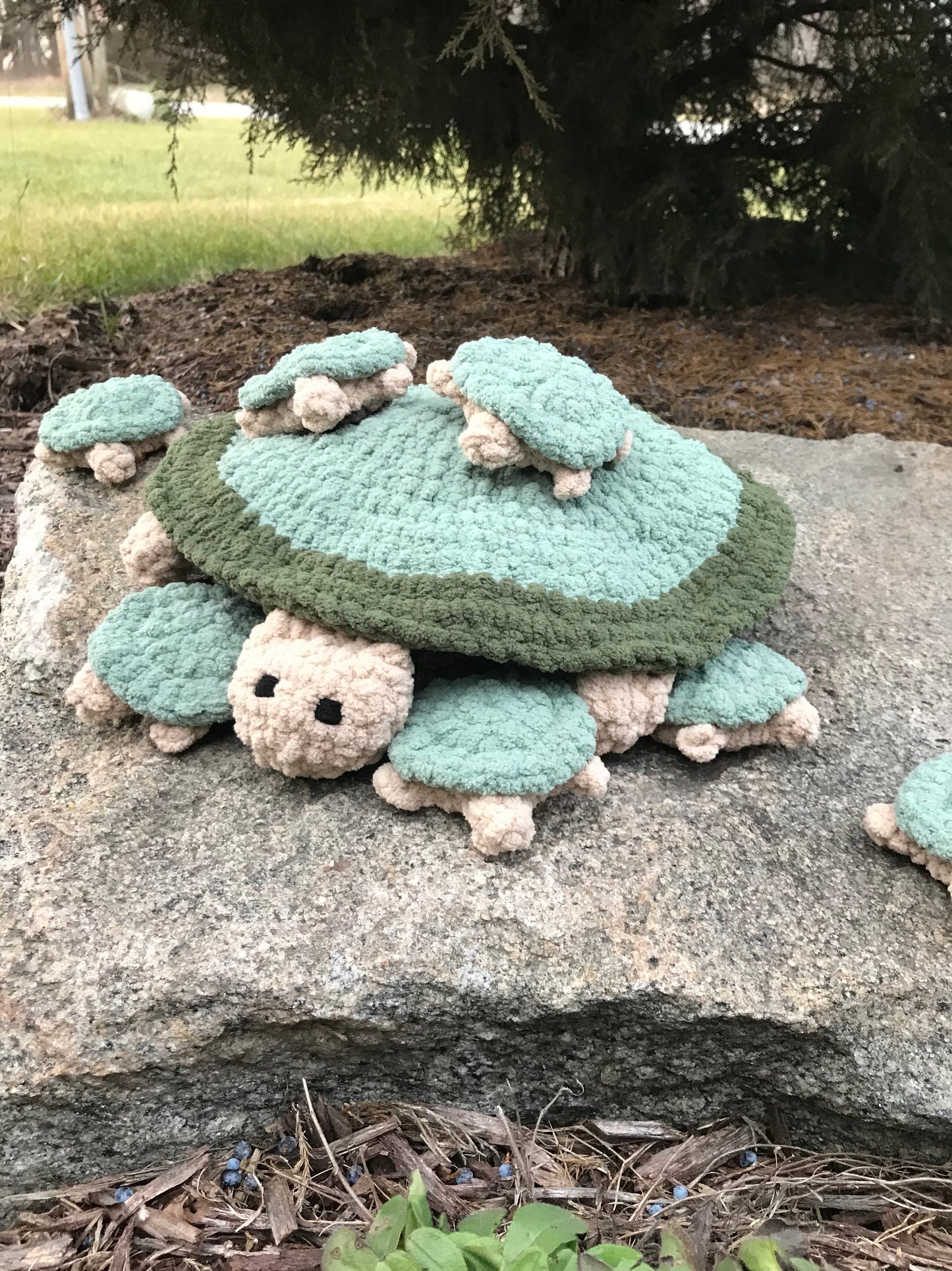 Turtle Matching Game