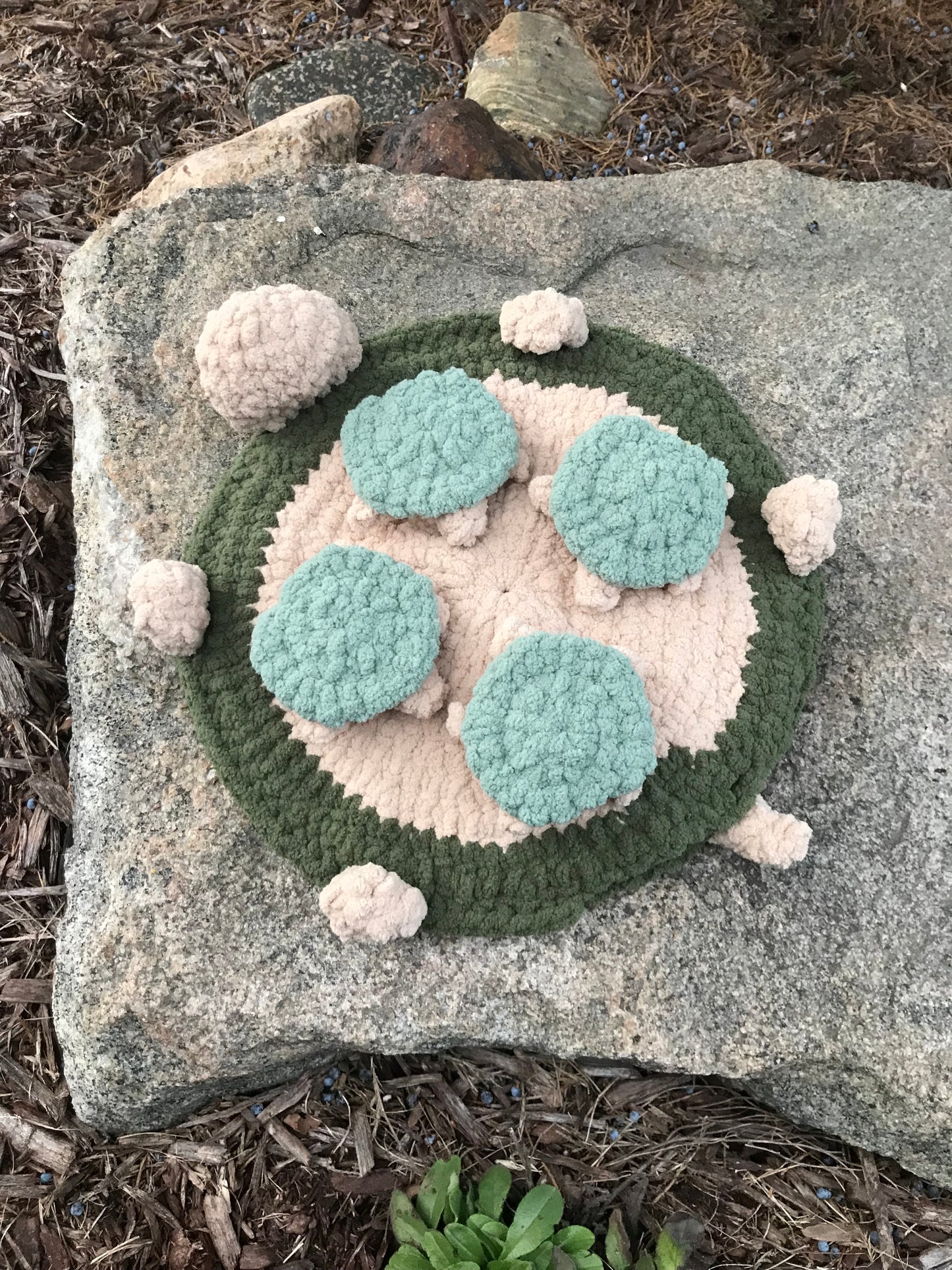 Turtle Matching Game