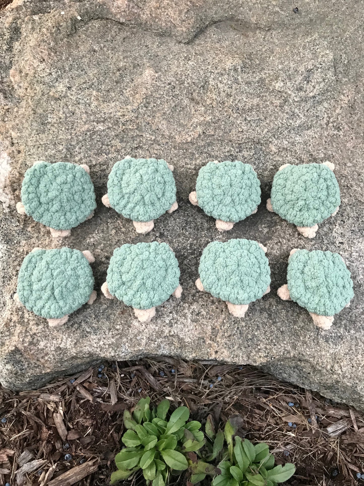 Turtle Matching Game
