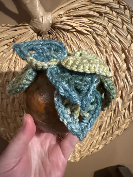 Croquet Ball Plant 004