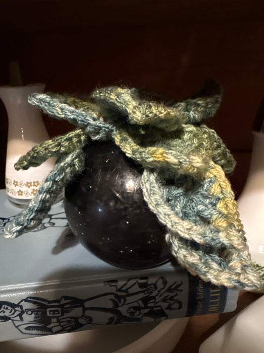 Croquet Ball Plant 005