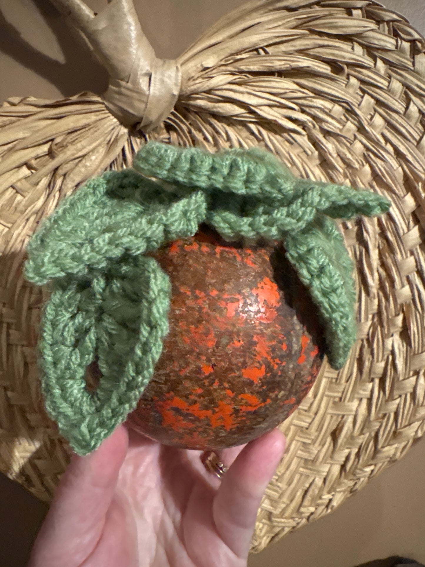 Croquet Ball Plant 003