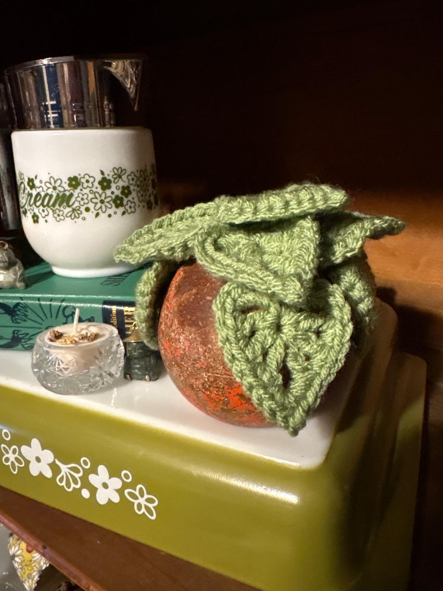 Croquet Ball Plant 003