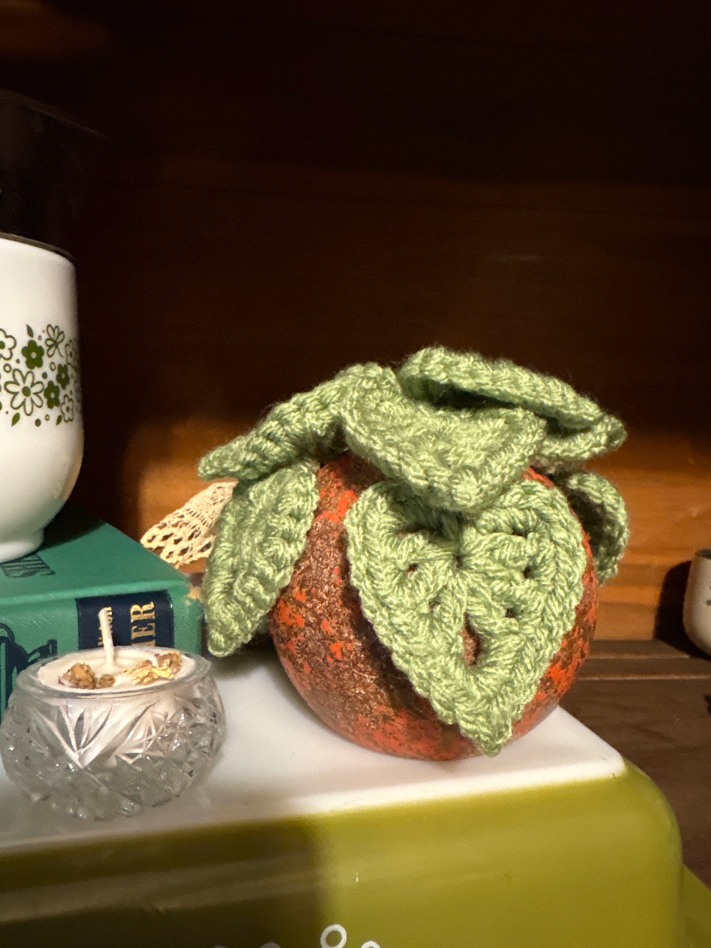 Croquet Ball Plant 003