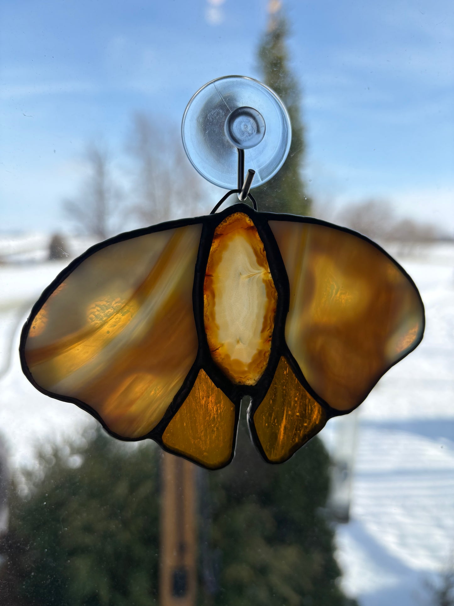 Amber Geode Moth
