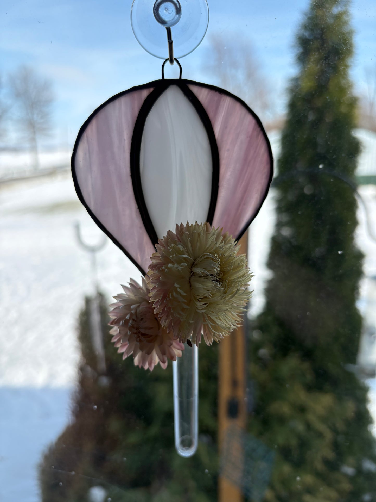 Hot Air Balloon Propagation Station - Purple