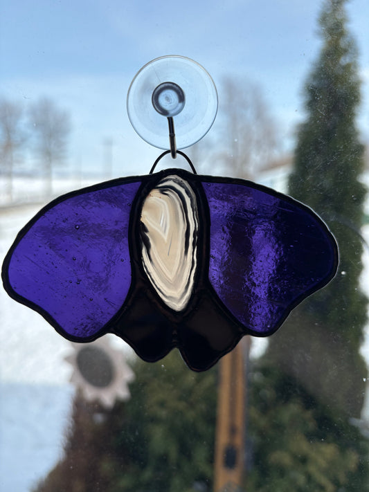 Purple Geode Moth