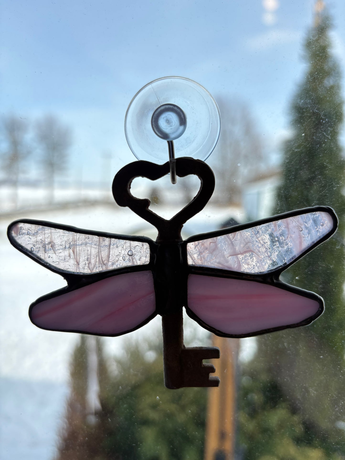 Dragonfly 005