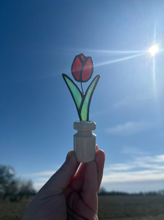 Tulip
