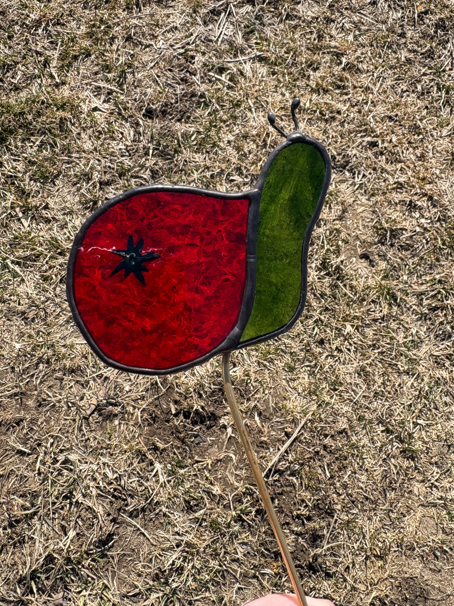 Tomato Snail Plant Stake