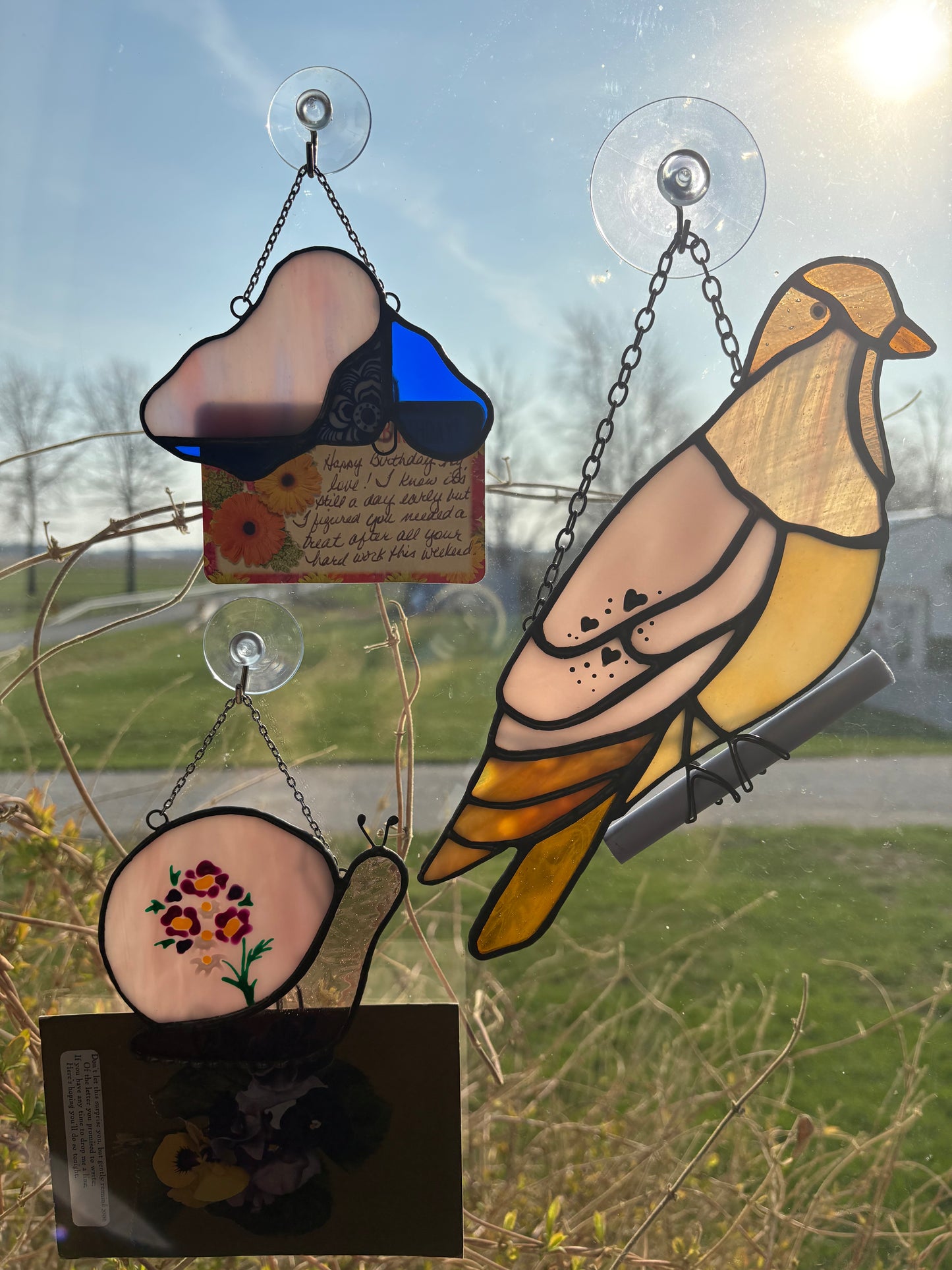 The Snail Mail