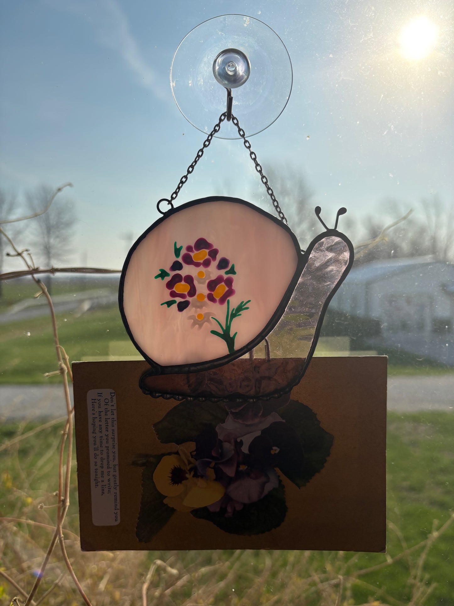 The Snail Mail