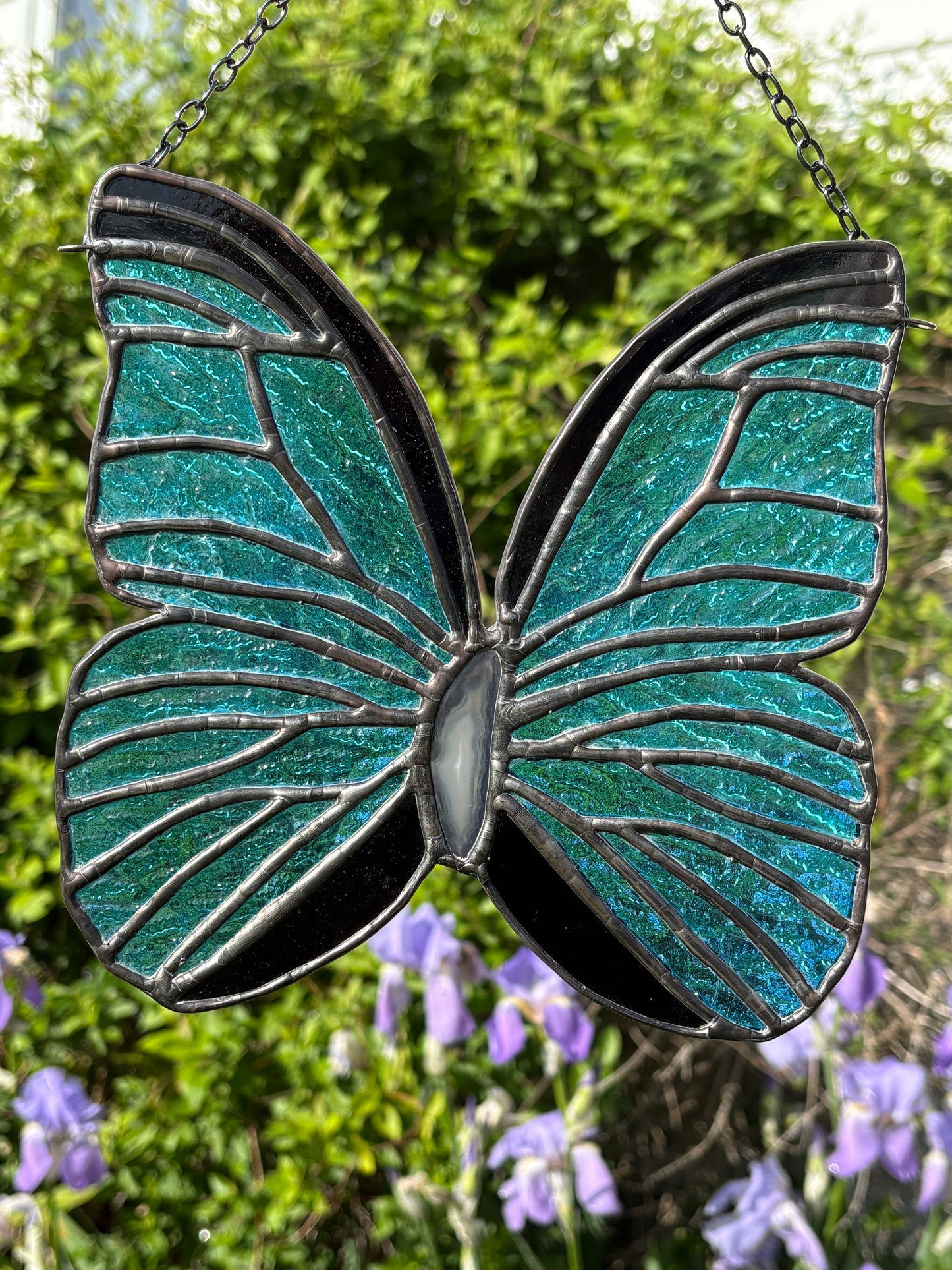 Blue Butterfly