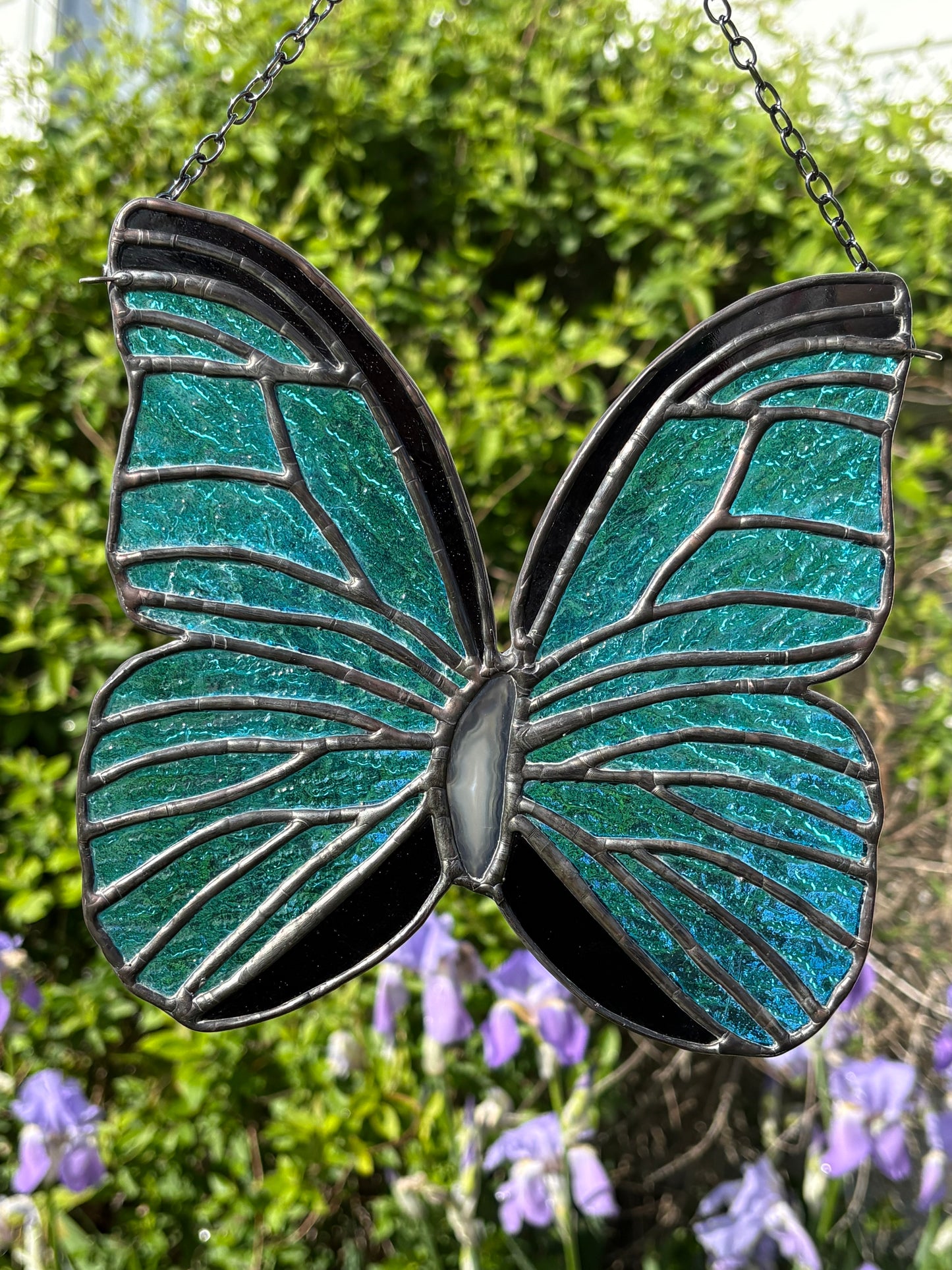 Blue Butterfly