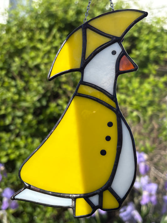Raincoat Goose