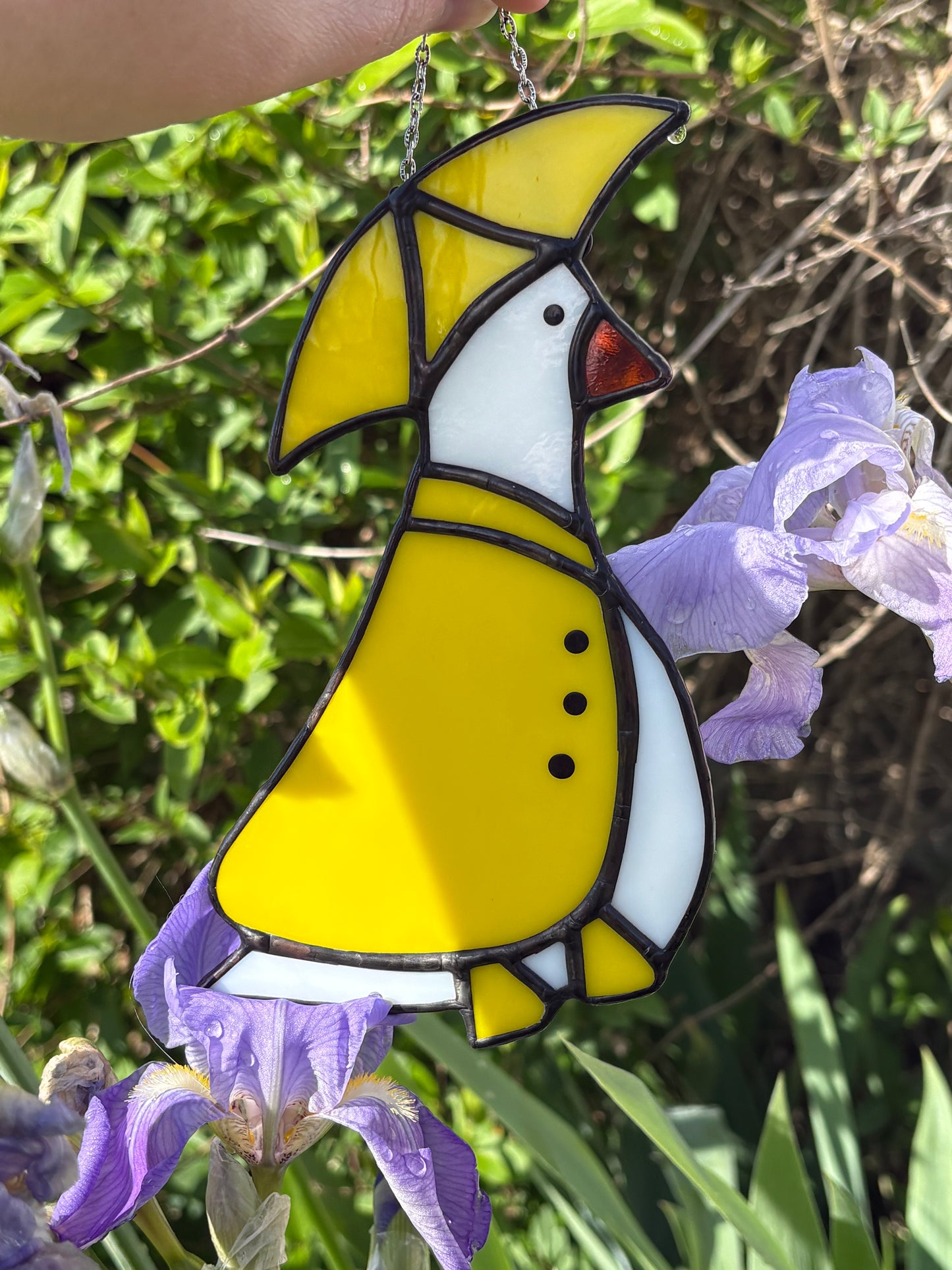 Raincoat Goose