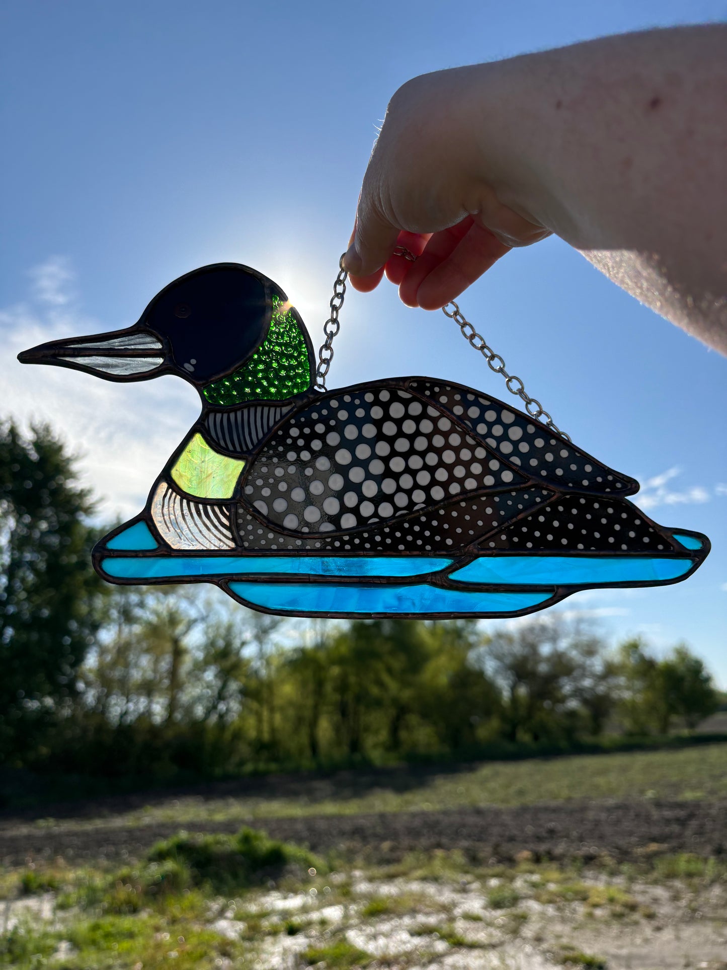 Common Loon