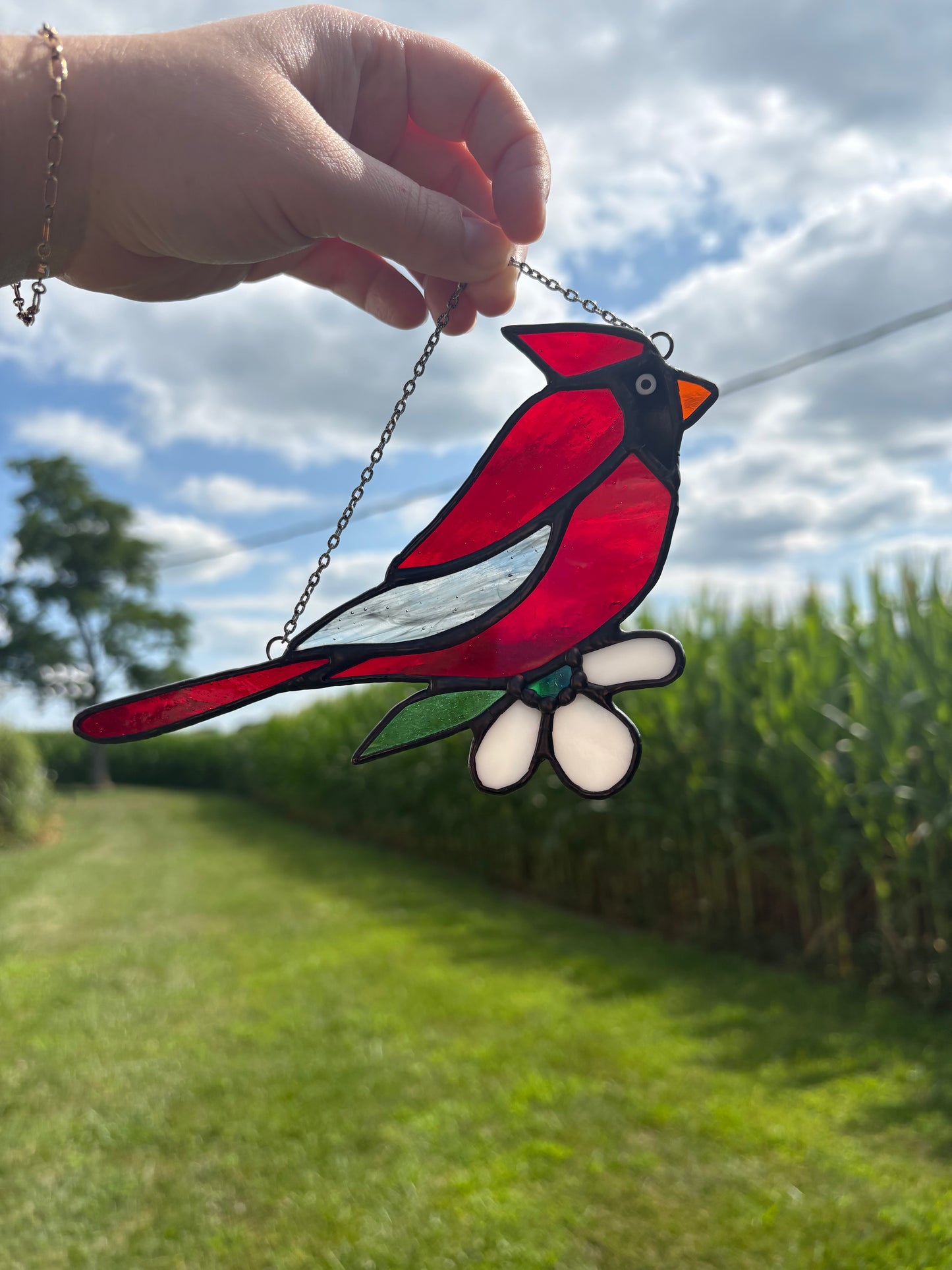 Cardinal