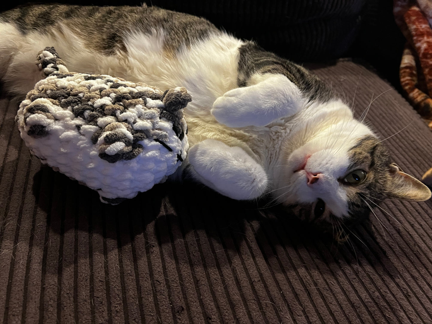 Custom Crochet Loaf Cat