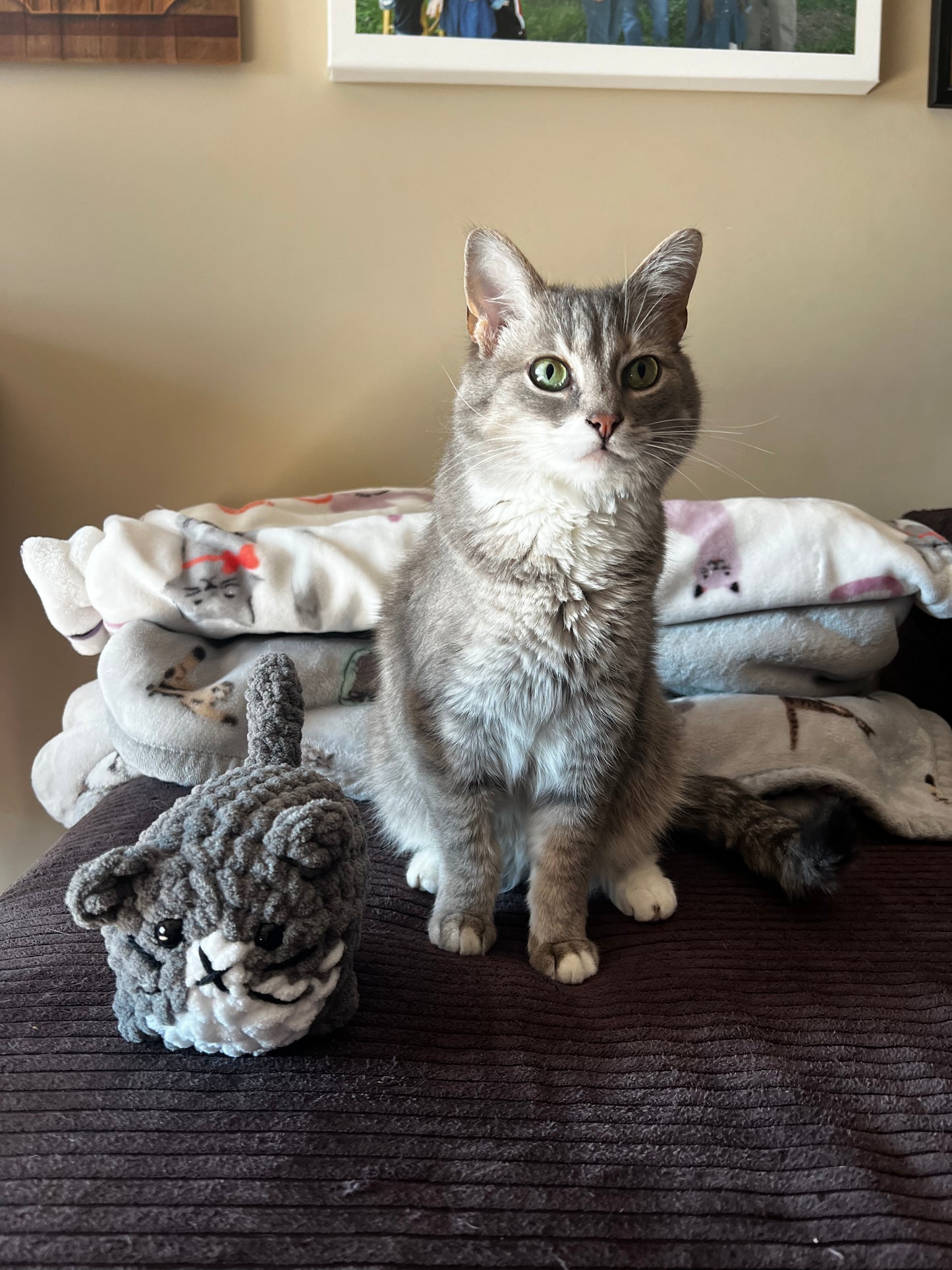 Custom Crochet Loaf Cat