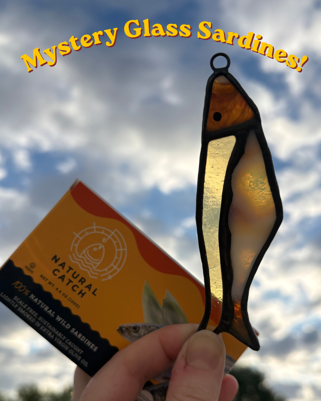 Mystery Stained Glass Sardine Pack